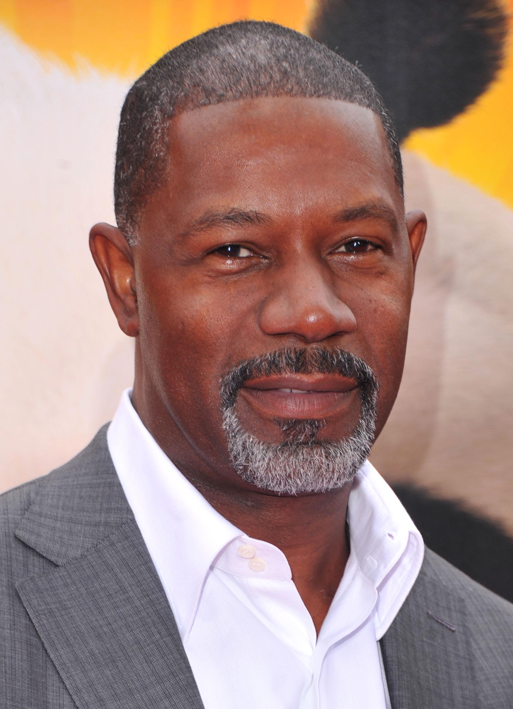 DreamWorks Animation's 'Kung Fu Panda 2' Premiere - Red Carpet