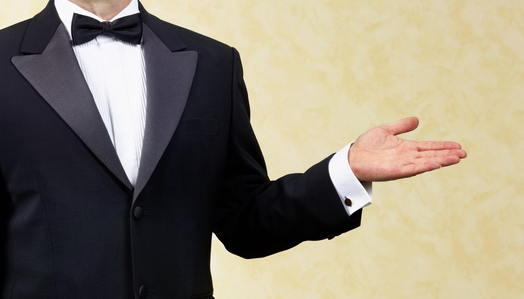 Body guard, bouncer, doorman, waiter, welcoming