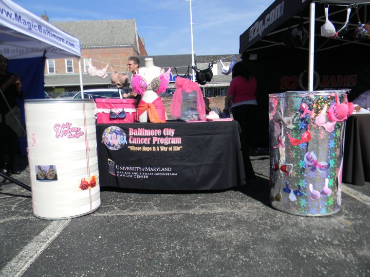 Breast Cancer Awareness Month Bra Cast