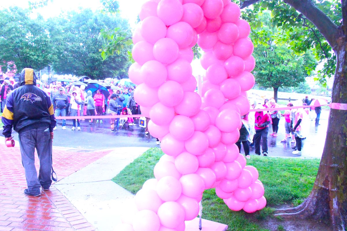 Survivor Soul Stroll 2017