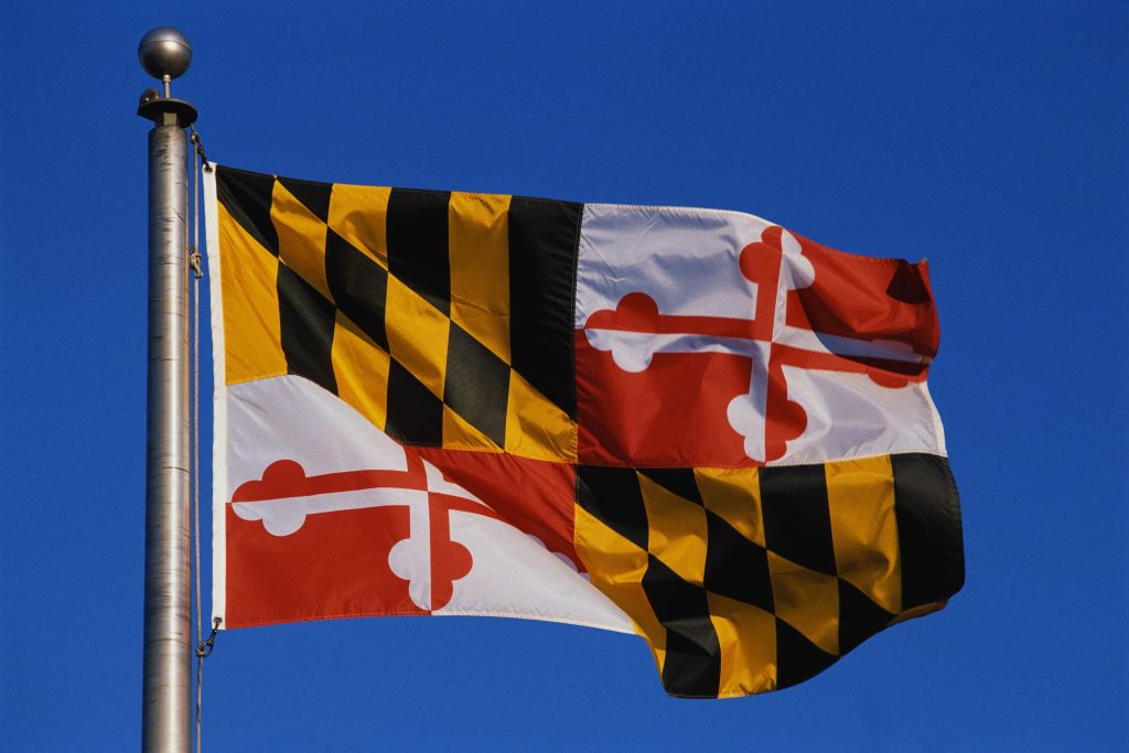 This is the State Flag flying on a flagpole against a blue sky. The flag has black and white checks with its symbol in the center.