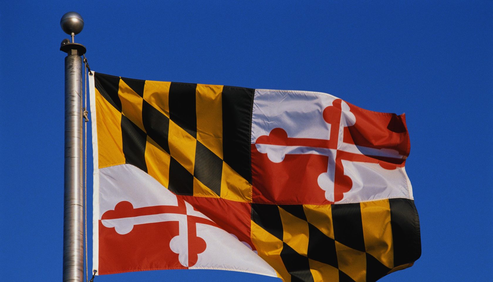 This is the State Flag flying on a flagpole against a blue sky. The flag has black and white checks with its symbol in the center.